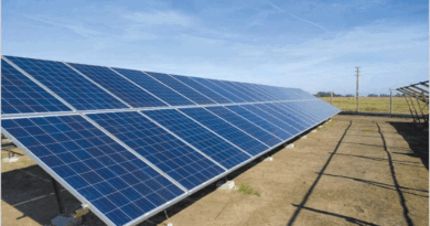 Fundación Vida Silvestre Argentina es sustentable: las oficinas  centrales funcionan con energía solar al 100%